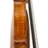 1790Violino6 b.jpg