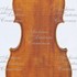 1792Viola c.jpg