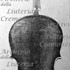 1793cViolino2 c.jpg