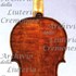 1795cViolino c.jpg