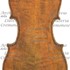 1795cViolino c1.jpg