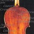 1796Viola c.jpg