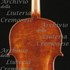 1800-05Viola c.jpg