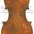 1800cViolino2 c.jpg