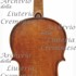 1800cViolino3 c.jpg