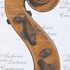 1802violino piccolo d.jpg