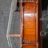 1804Violino b.jpg