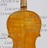 1807cViolino c.jpg