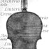 1810cViolino3 c.jpg