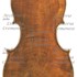 1815Viola c.jpg