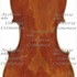 1820cViolino c.jpg