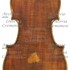 1855Violino c.jpg