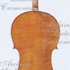 1865 c.Violoncello c.jpg