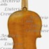 1878Violino c.jpg