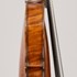 1880cViolino3 b.jpg