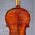 1880cViolino c.jpg