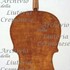 1880cVioloncello c.jpg