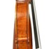 1885Violino2 b.jpg