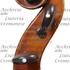 1890cViolino2 d.jpg