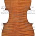 1892Violino c.jpg