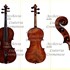 1895cViolino2 f1.jpg