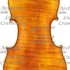 1895Violino2 c.jpg