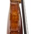1897Violino2 b.jpg