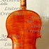 1898Violino3 c.jpg