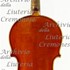 1901Violino c.jpg