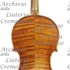 1905Violino c.jpg