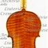 1910cViolino2 c.jpg