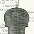 1910Violino c.jpg