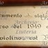1911Viola f.jpg
