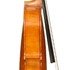1912Viola b.jpg