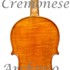 1912Viola c.jpg