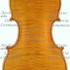 1912Violino c.jpg