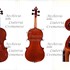 1919 Violino f2.jpg