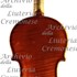 1920Violino9 c.jpg