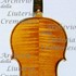 1925Violino c.jpg