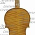 1926Violino c.jpg