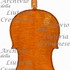 1926Violoncello c.jpg