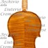 1930 Violino c.jpg