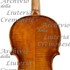 1935Violino c.jpg