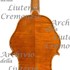 1965Violino c.jpg