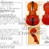 1977Viola f.jpg