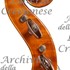 1984Violino d.jpg