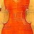 1995Violino c.jpg