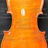 2005Violino c.jpg