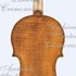 ViolinoEx Payne b.jpg