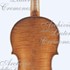 ViolinoNMM5260 c.jpg